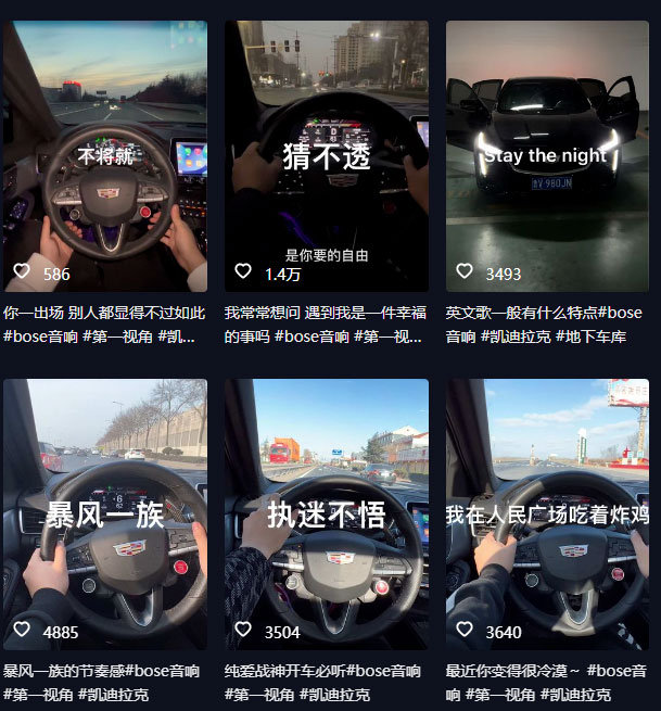 图片[2] - 抖音开车视频项目：0基础操作，每天五分钟，月入过万 - 天能资源