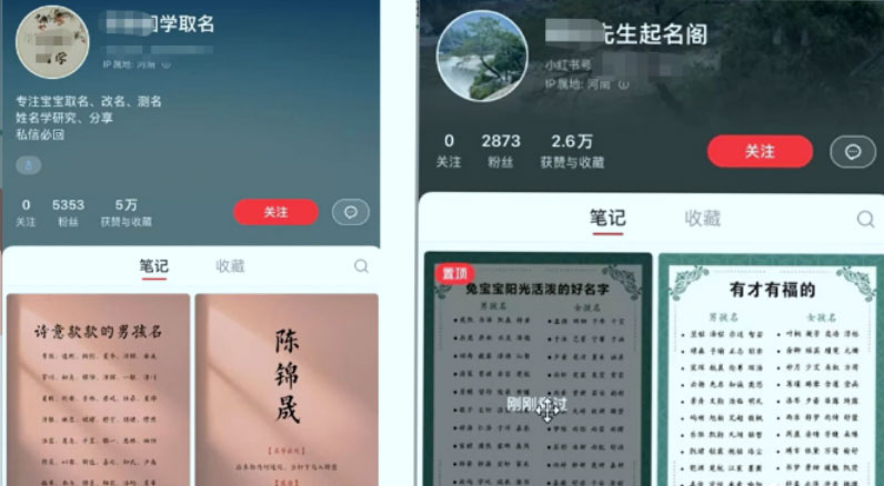 冷门暴利项目：给宝宝起名 一单 200+「教程+工具」 - 天能资源