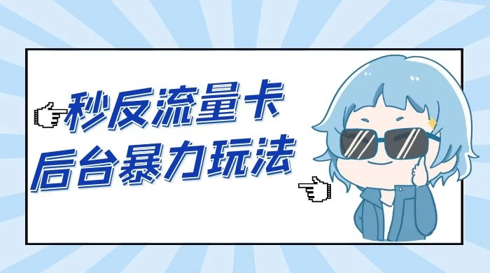 秒反流量卡后台暴力玩法 2.0，日赚三位数 - 天能资源