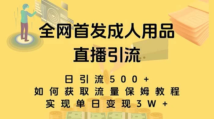 成人用品直播引流获客暴力玩法，单日引流500+，变现 3w+，保姆级教程 - 天能资源