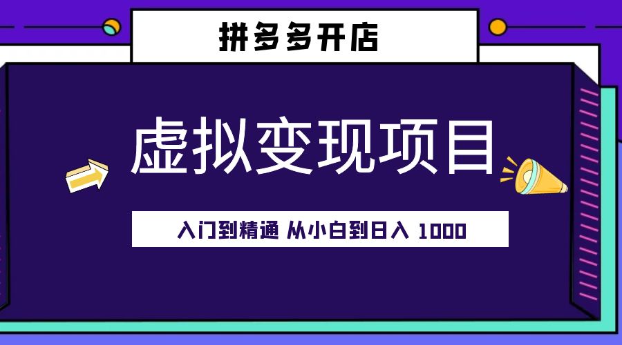 拼多多开店虚拟变现项目：入门到精通 从小白到日入 1000「完整版」 - 天能资源