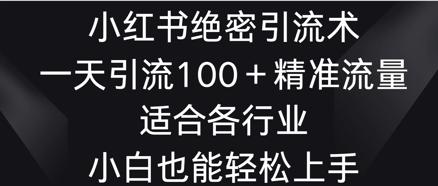 小红书绝密引流术，一天引流100＋精准流量，适合各个行业，小白也能轻松上手 - 天能资源