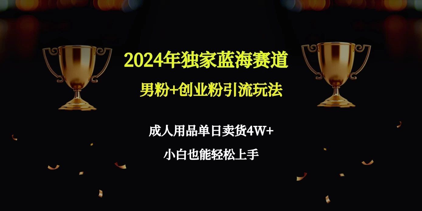 2024独家蓝海赛道，男粉＋创业粉引流玩法。 - 天能资源