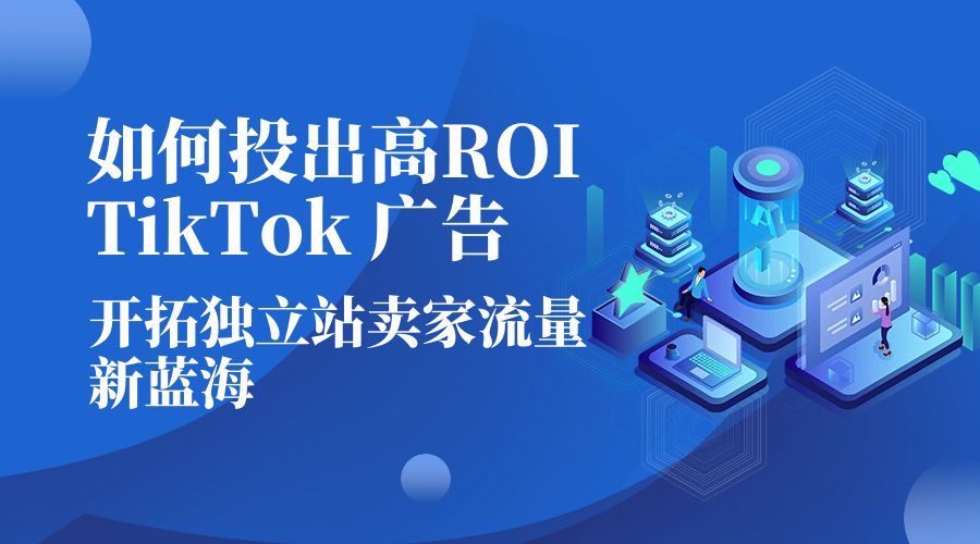 如何投出高 ROI · TikTok 广告：开拓独立站卖家流量新蓝海 - 天能资源