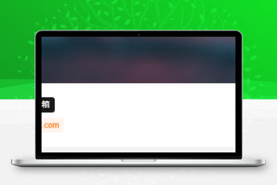 子比主题美化 – 用户中心添加UID/用户名/邮箱按钮 - 天能资源